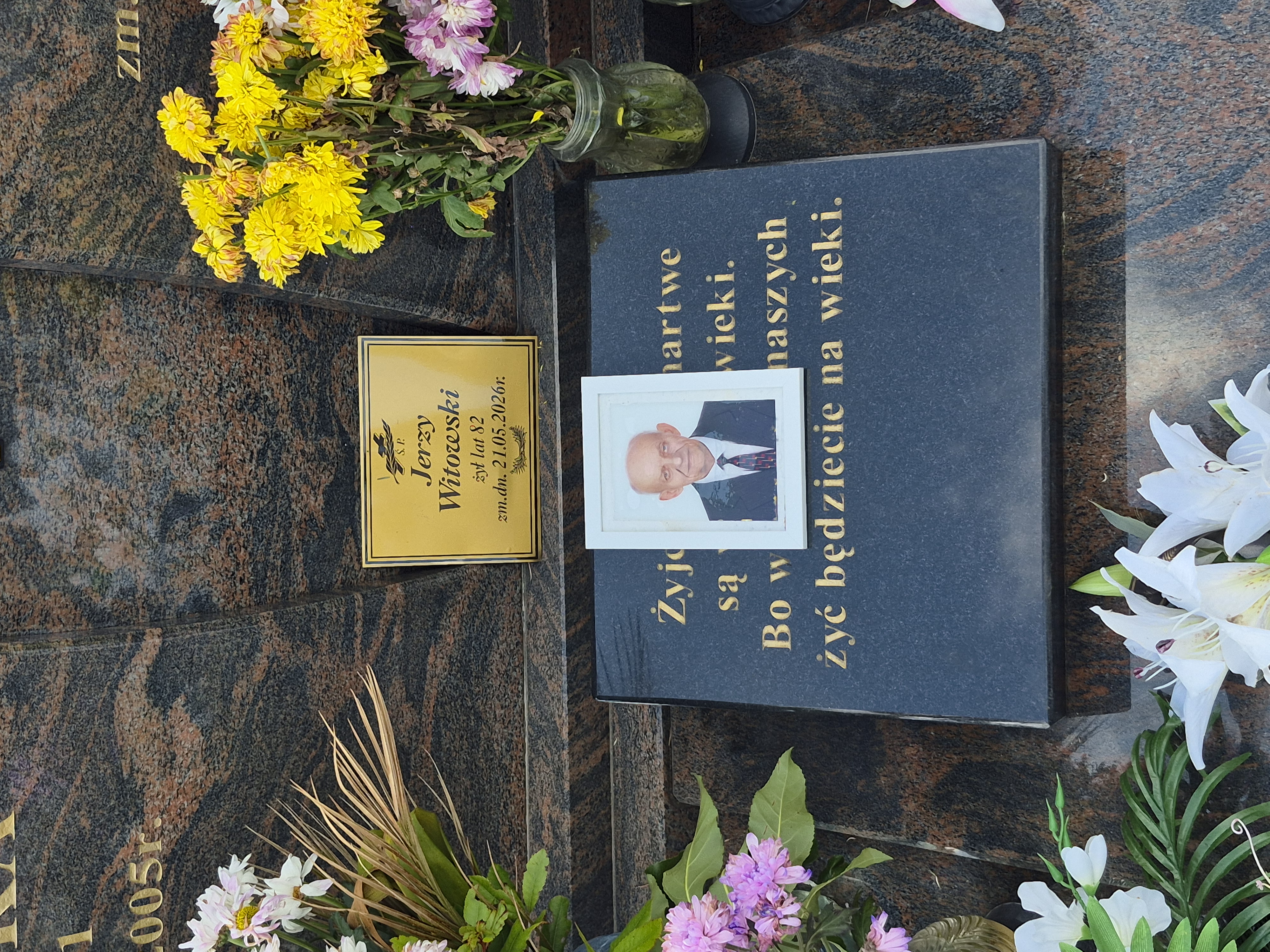 Grób Jerzy Witowski